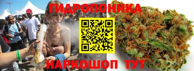 дурь Кулебаки