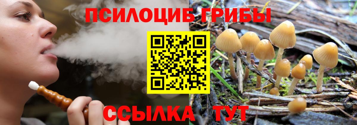 Псилоцибиновые грибы прущие грибы Азов