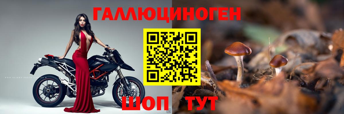 где найти   Галлюциногенные грибы MAGIC MUSHROOMS  Вход с VPN  Псилоцибиновые грибы GOLDEN TEACHER  Азов 